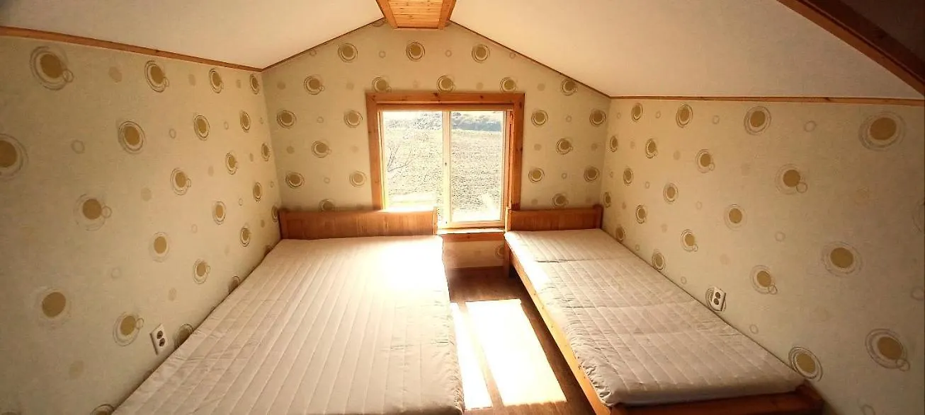 ** Guest house Tree House Guesthouse Jeju South Korea