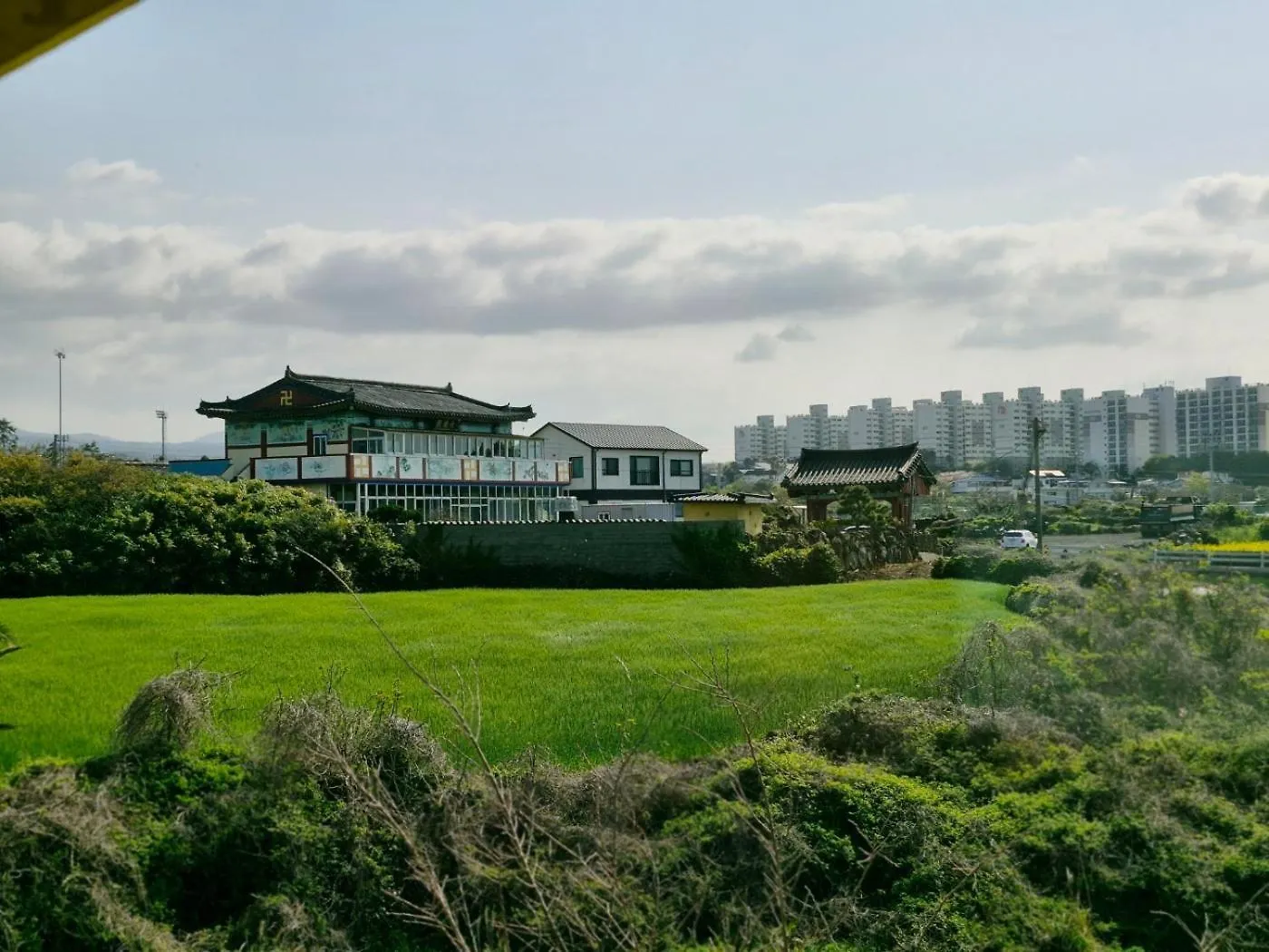 Tree House Guesthouse Jeju 2*,