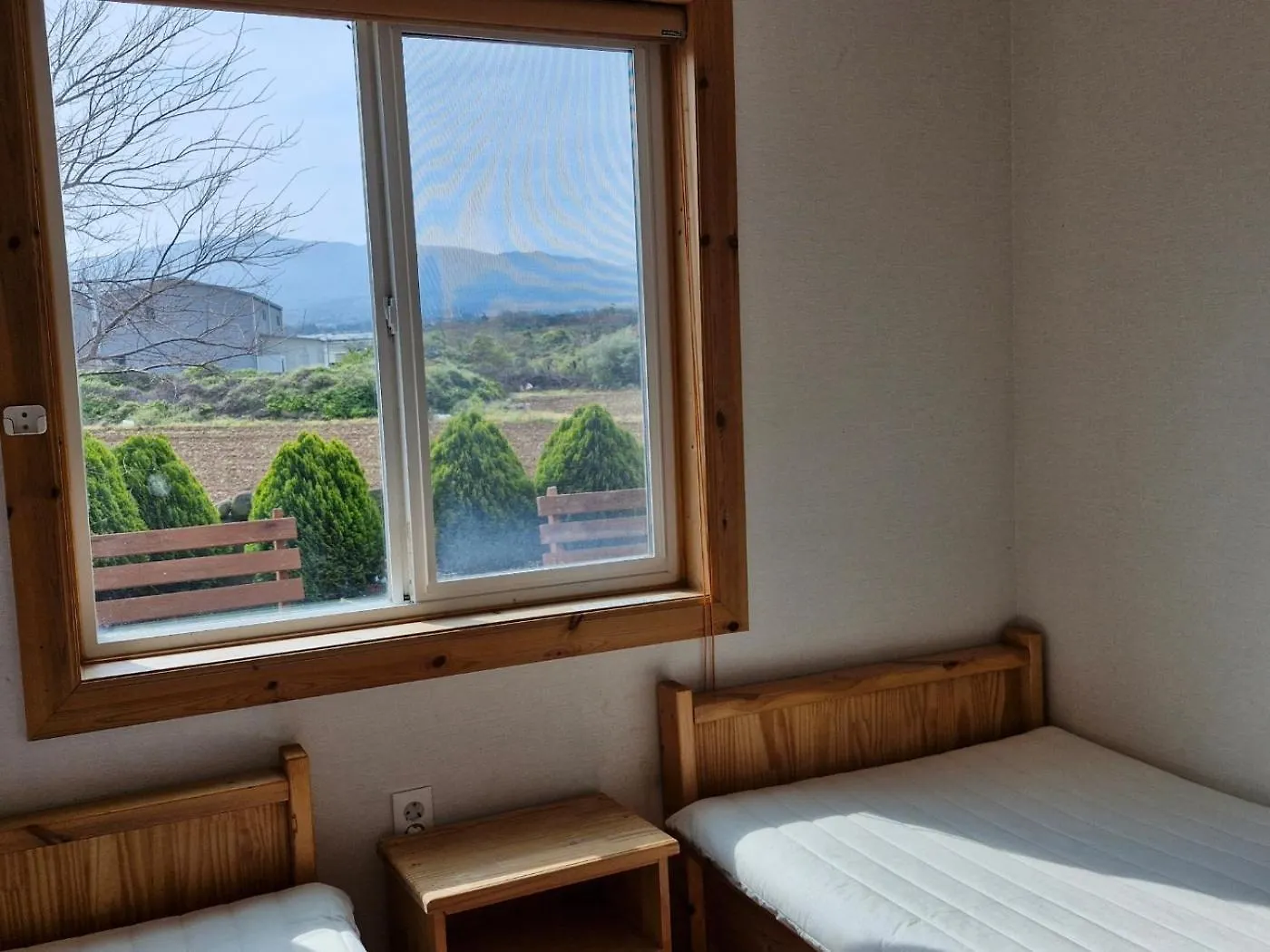 Tree House Guesthouse Jeju 2*,