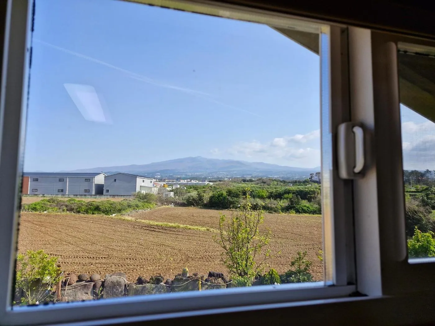 Tree House Guesthouse Jeju Guest house