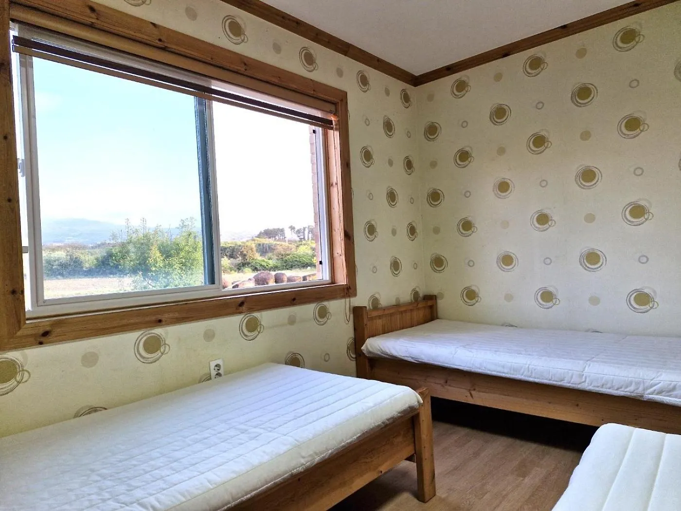 ** Guest house Tree House Guesthouse Jeju South Korea