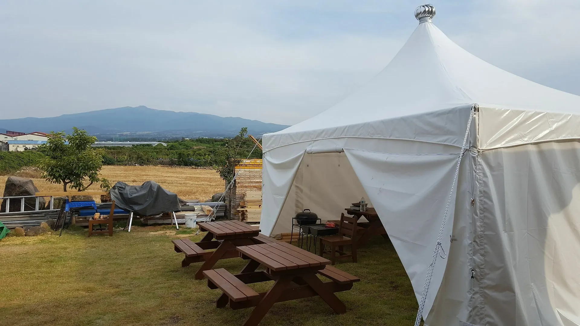 Tree House Guesthouse Jeju Guest house